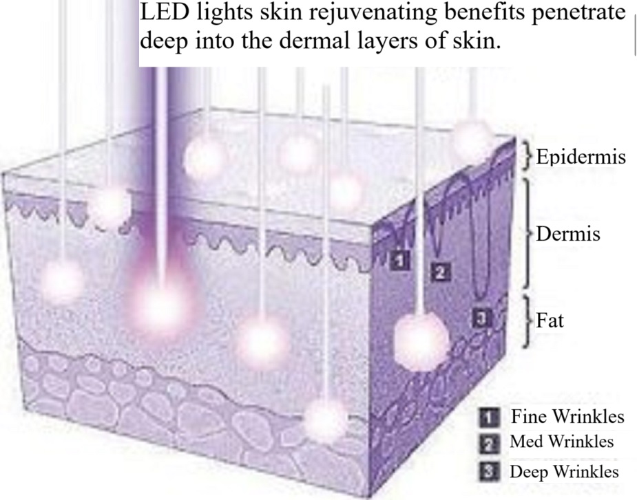 Red and infrared wavelengths penetrate deep into the dermal layers of skin and tissue to help rebuild and plump thinning skin and stimulate collagen production.