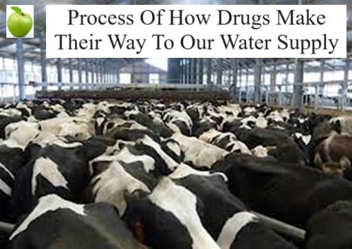 Our meat sources from factory farms live in absolute horrifying, over crowded and unsanitary living conditions and are given antibiotics to help keep them as healthy as possible.