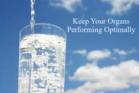 Fresh clean healthy water keeps our body hydrated which in turn helps our organs work at optimal performance, so they can do their job of flushing our system from toxins and toxic waste build up.