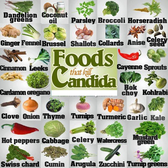 A Candida Diet with the right foods can heal digestive problems and make a great impact to better health. When the digestive system is nourished properly the body begins to heal and becomes healthy.