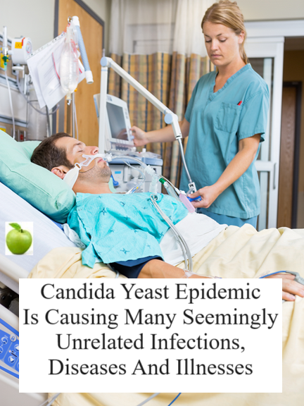 Candida can burrows its roots into the intestinal wall perforating it and allowing the Candida yeast fungi to penetrate into the bloodstream causing a systemic yeast infection called Candidiasis.
