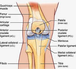 Healthy Joints By Natural Pain Management Resources Of Reducing Excess Fibrin.